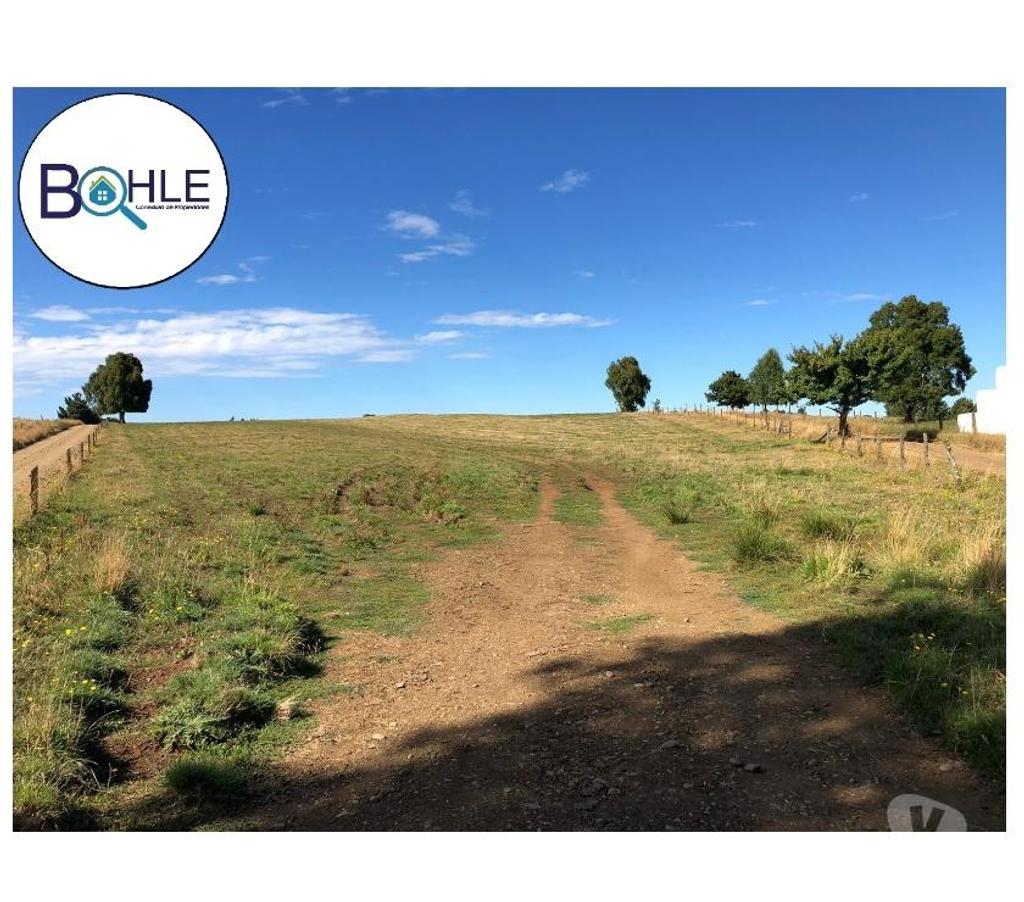 Venta de Haciendas Llanquihue Fresia - Fotos de VENDO - CAMPO DE 205 HA EN FRESIA