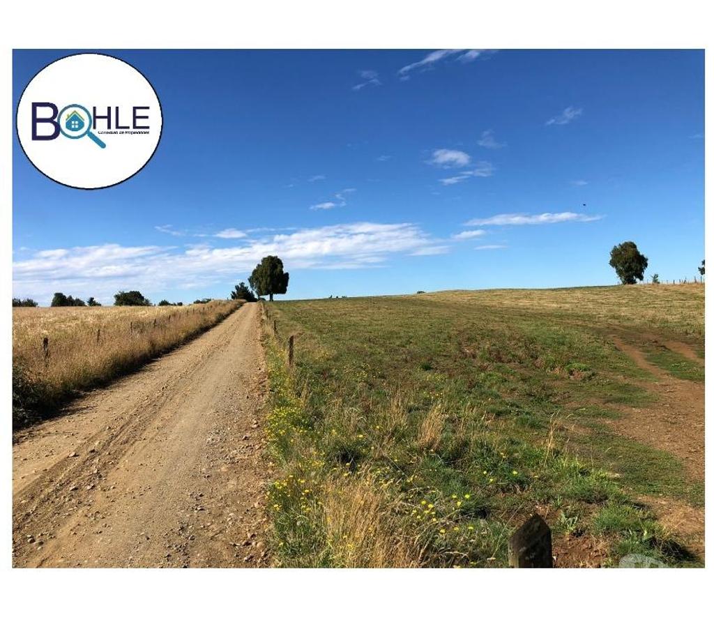 Venta de Haciendas Llanquihue Fresia - Fotos de VENDO - CAMPO DE 205 HA EN FRESIA