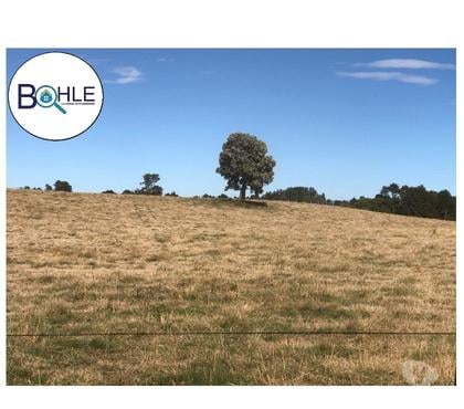 Venta de Haciendas Fresia Llanquihue - Fotos de VENDO - CAMPO DE 205 HA EN FRESIA