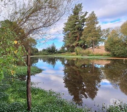  Departamentos en venta Osorno Osorno - Fotos de Vende parcela agrado con casa