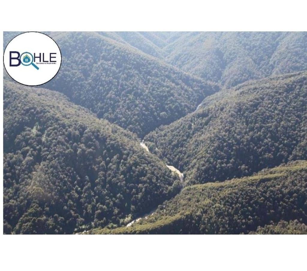 Venta de Haciendas Llanquihue Fresia - Fotos de CAMPO 2.856 HECTÁREAS EN FRESIA