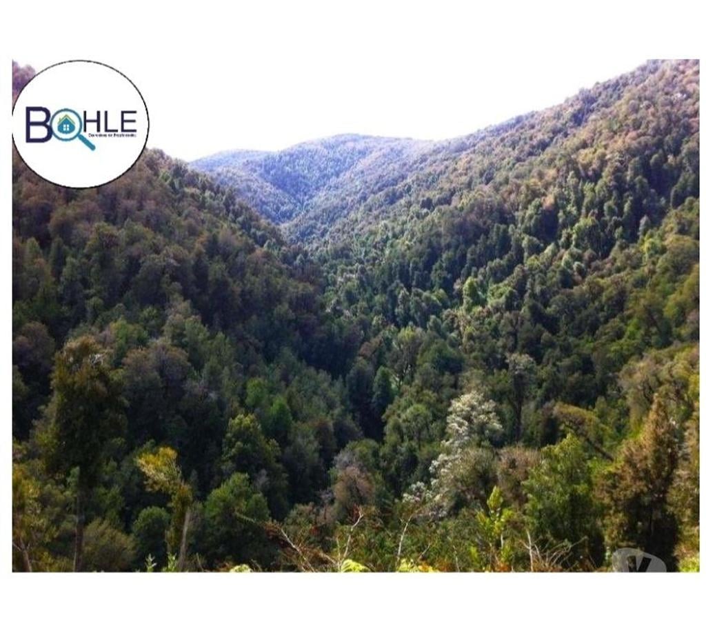 Venta de Haciendas Llanquihue Fresia - Fotos de CAMPO 2.856 HECTÁREAS EN FRESIA