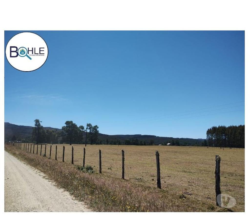 Venta de Haciendas Llanquihue Fresia - Fotos de CAMPO 2.856 HECTÁREAS EN FRESIA