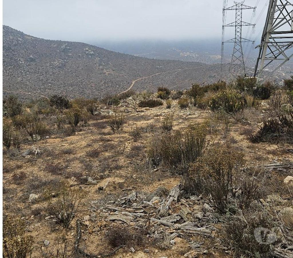 Parcelas en Venta Elqui Conquimbo - Fotos de Macro Lote Apatitas Coquimbo Oferta