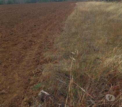 Venta de Haciendas Yumbel Bío-Bío - Fotos de VENDO TERRENO 13 hectáreas