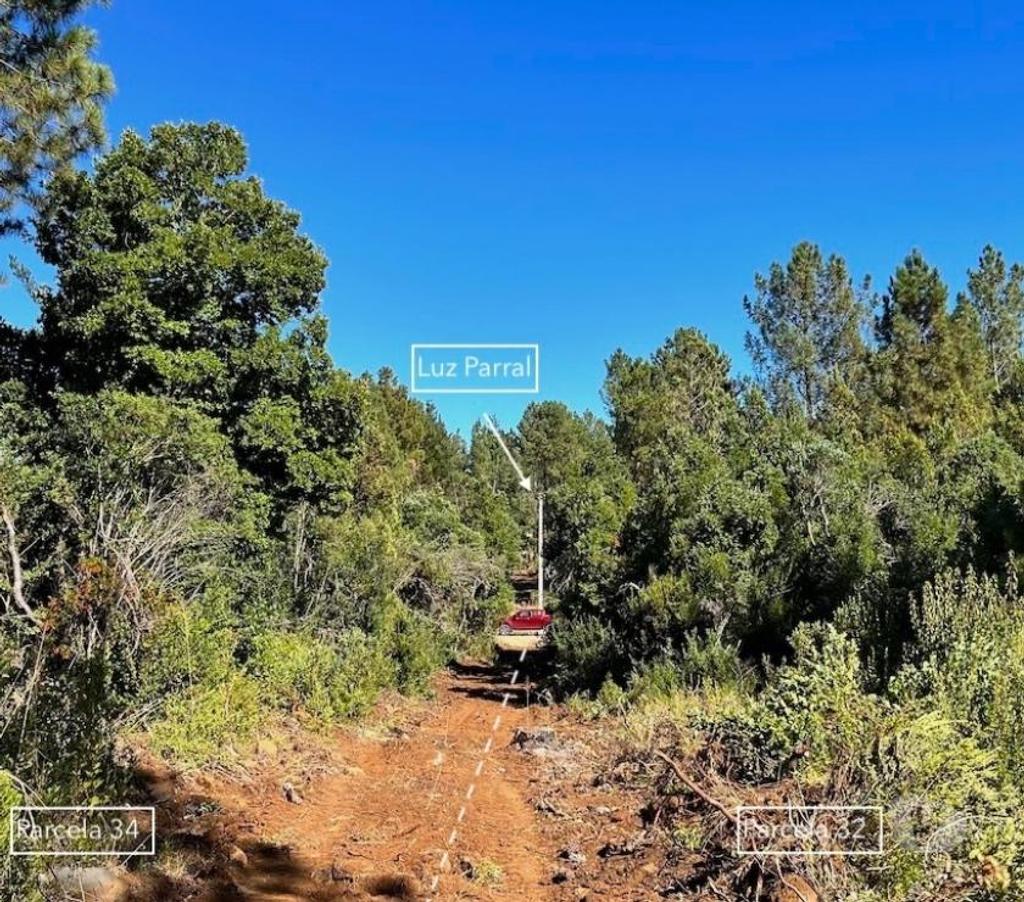 Parcelas en Venta Linares Parral - Fotos de PARCELAS EN PARRAL, 5000m2 con Agua Potable y Luz