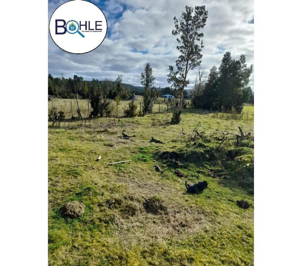 Venta de Haciendas Chiloé Quellón - Fotos de VENDO - Campo de 59 Ha en Quellón