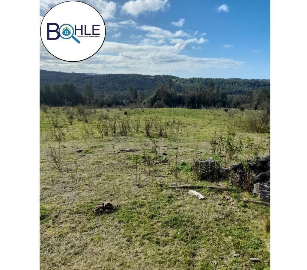 Venta de Haciendas Chiloé Quellón - Fotos de VENDO - Campo de 59 Ha en Quellón