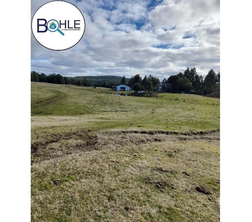 Venta de Haciendas Chiloé Quellón - Fotos de VENDO - Campo de 59 Ha en Quellón