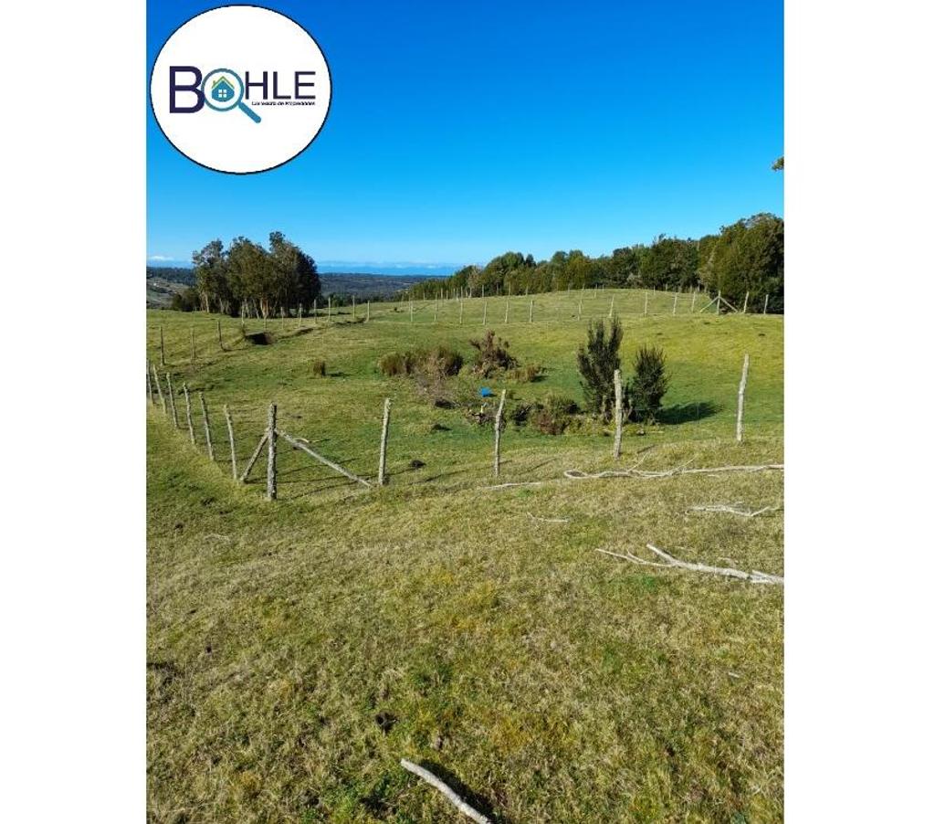 Venta de Haciendas Chiloé Quellón - Fotos de VENDO - Campo de 59 Ha en Quellón