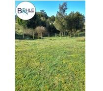VENDO - Campo de 59 Ha en Quellón