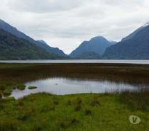 Campo Laguna Los Palos – Puerto Aysén