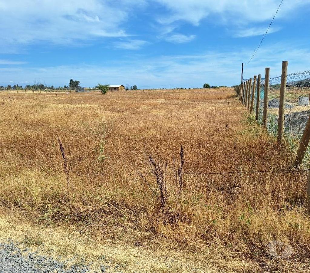 Parcelas en Venta Talca Maule - Fotos de VENDO PARCELA DE 5100 METROS EN MAULE