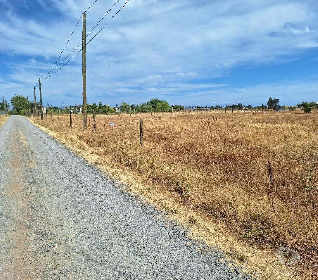 Parcelas en Venta Talca Maule - Fotos de VENDO PARCELA DE 5100 METROS EN MAULE