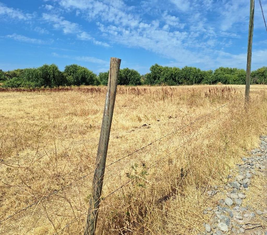 Parcelas en Venta Talca Maule - Fotos de VENDO PARCELA DE 5250 METROS EN UNIHUE MAULE