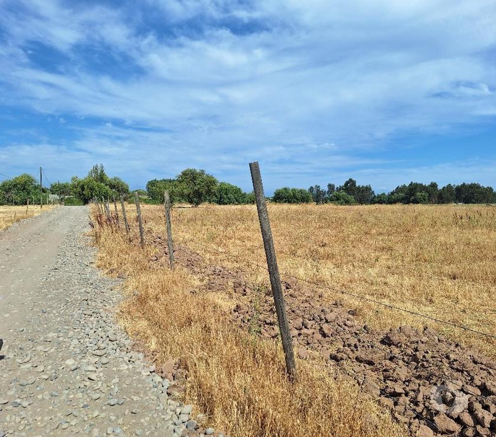 Parcelas en Venta Talca Maule - Fotos de VENDO PARCELA DE 5250 METROS EN UNIHUE MAULE