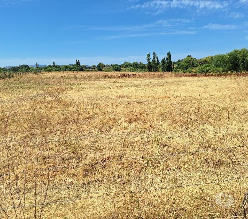 Parcelas en Venta Talca Maule - Fotos de VENDO PARCELA DE 5250 METROS EN UNIHUE MAULE