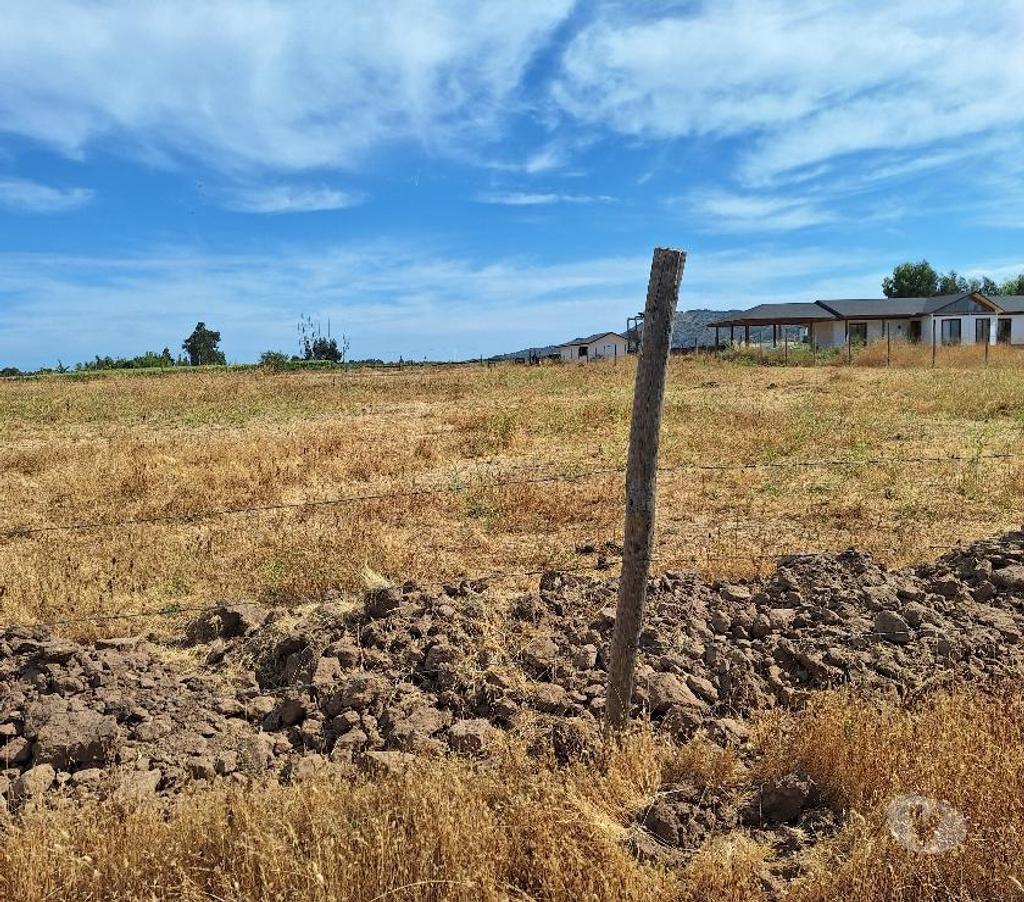 Parcelas en Venta Talca Maule - Fotos de VENDO PARCELA DE 5250 METROS EN UNIHUE MAULE