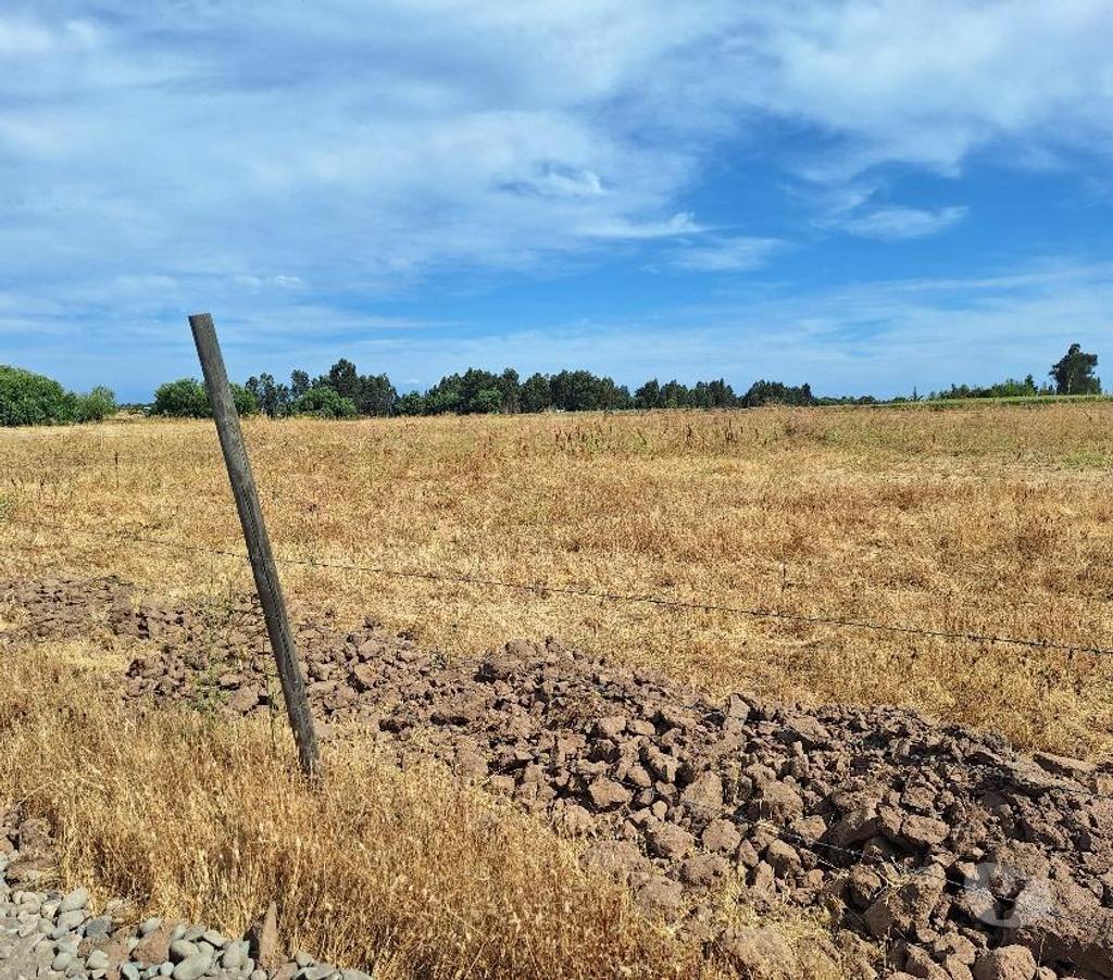 Parcelas en Venta Talca Maule - Fotos de VENDO PARCELA DE 5250 METROS EN UNIHUE MAULE