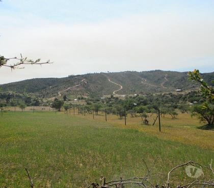 Parcelas en Venta San Javier Linares - Fotos de VENDO PARCELA EN LA PITIGUA SAN JAVIER