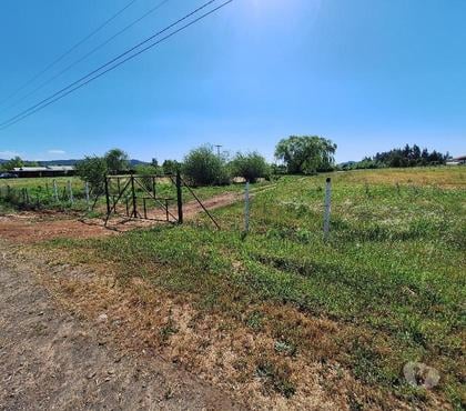 Parcelas en Venta San Clemente Talca - Fotos de VENDO PARCELA EN CORRALONES SAN CLEMENTE