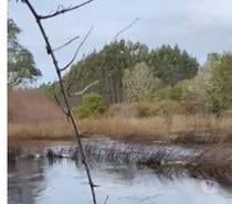 Fotos de Se venden lindas parcelas en Panitao Alto, Urbanizadas.