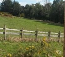 Fotos de Vende Linda Parcela 5.000 mts² en sector Correntoso.