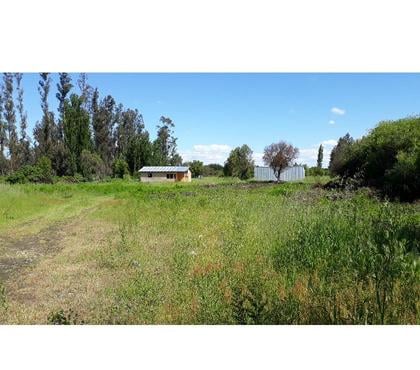 Terrenos en Venta Los Ángeles Bío-Bío - Fotos de ARRIENDO CAMPO 9 HECTÁREAS CON CASA Y BODEGA EN LOS ANGELES