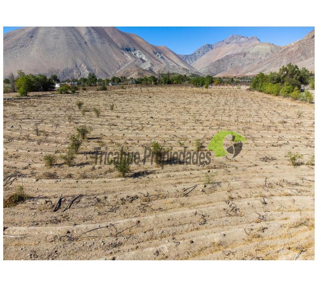 Parcelas en Venta Elqui Vicuña - Fotos de Última parcela plana, a 10 minutos de Vicuña.