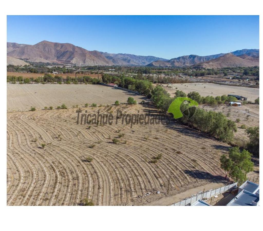 Parcelas en Venta Elqui Vicuña - Fotos de Última parcela plana, a 10 minutos de Vicuña.