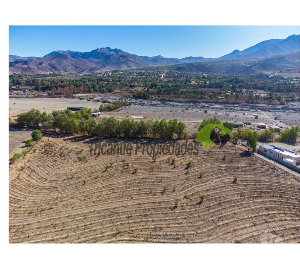 Parcelas en Venta Elqui Vicuña - Fotos de Última parcela plana, a 10 minutos de Vicuña.