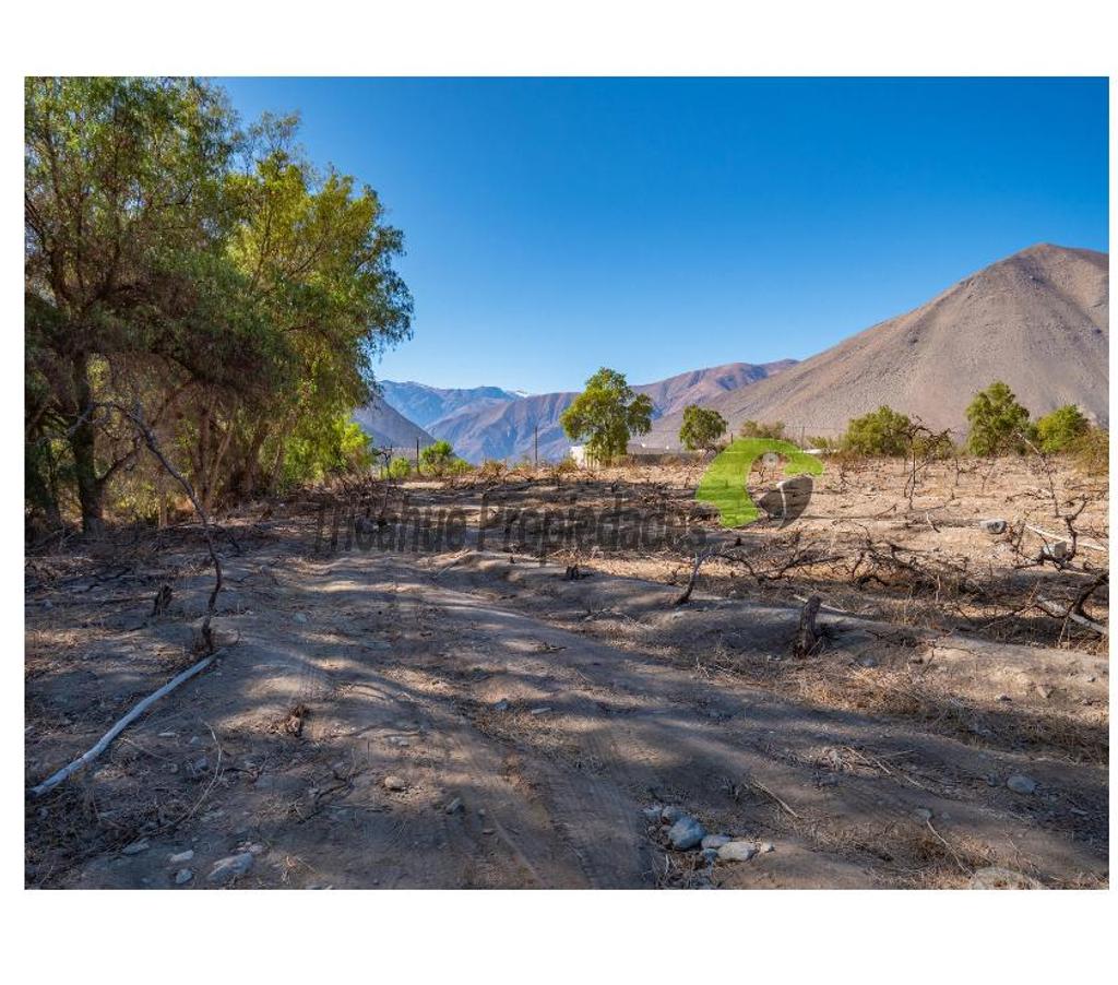 Parcelas en Venta Elqui Vicuña - Fotos de Última parcela plana, a 10 minutos de Vicuña.