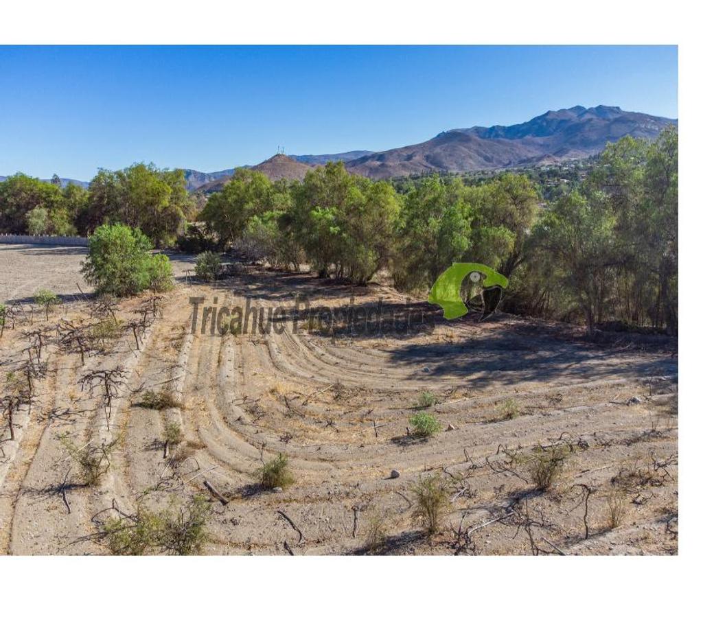 Parcelas en Venta Elqui Vicuña - Fotos de Última parcela plana, a 10 minutos de Vicuña.