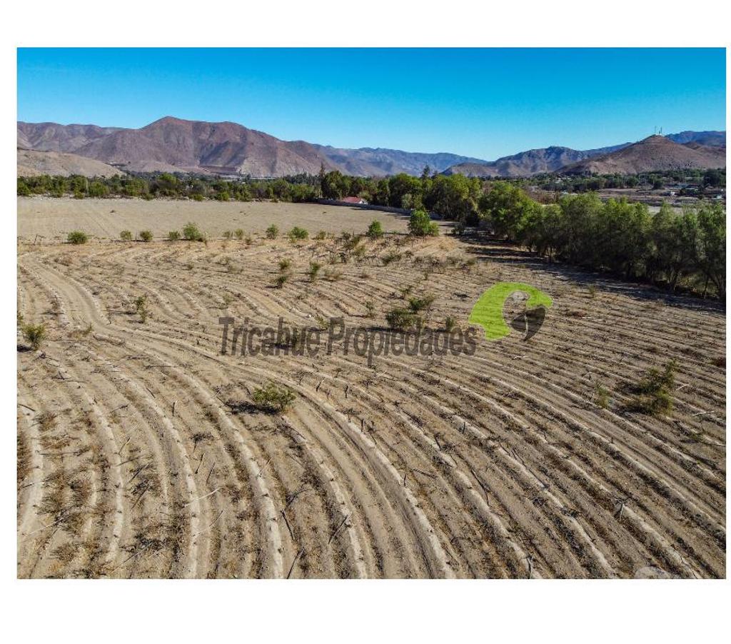 Parcelas en Venta Elqui Vicuña - Fotos de Última parcela plana, a 10 minutos de Vicuña.