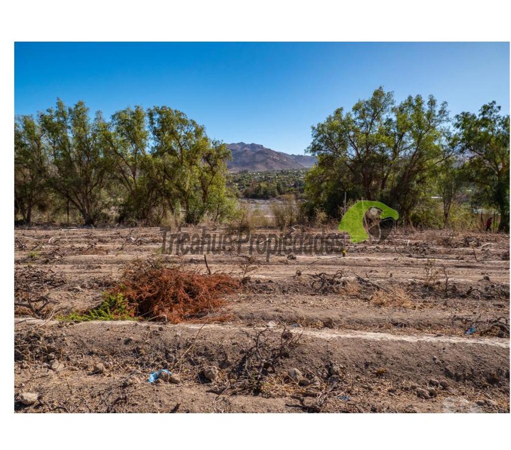 Parcelas en Venta Elqui Vicuña - Fotos de Última parcela plana, a 10 minutos de Vicuña.