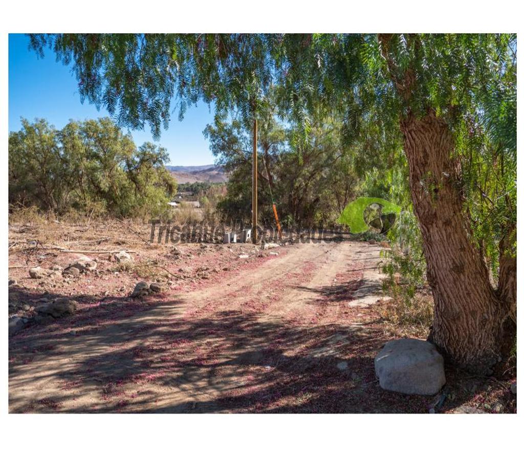 Parcelas en Venta Elqui Vicuña - Fotos de Última parcela plana, a 10 minutos de Vicuña.
