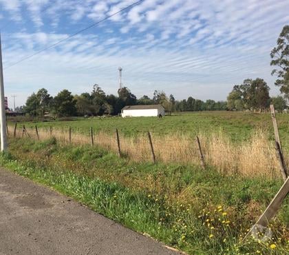 Terrenos en Venta Chillán Ñuble - Fotos de Parcela 3 Hectáreas Orilla Carretera 5 Sur
