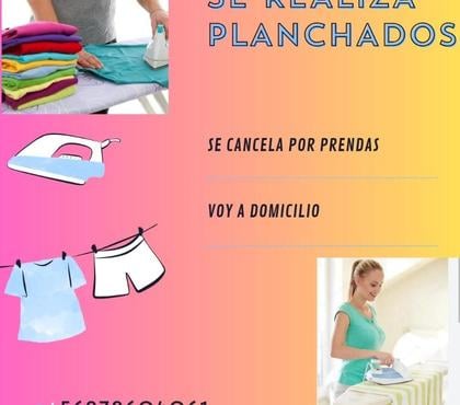 Otros Servicios Santiago Santiago - Fotos de servicio de planchado a domicilio, voy a todas las comunas