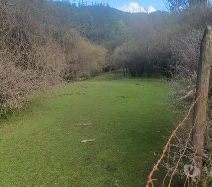 Venta de Campos Pencahue Talca - Fotos de Hermoso lote a 15 minutos de Talca