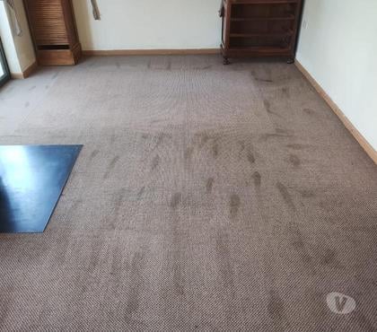 Otros Servicios Viña del Mar Valparaíso - Fotos de limpieza de alfombras y tapices