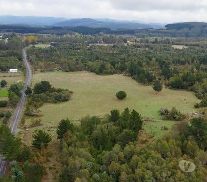 Haciendas en Venta La Unión Ranco - Fotos de Campo de 150,9 hectáreas, plano, acceso asfaltado La Unión