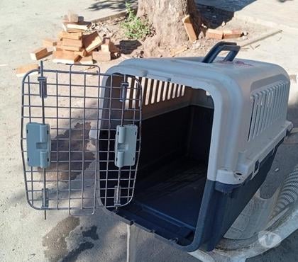 Servicios Veterinarios La Pintana Santiago - Fotos de Caja transportadora para mascotas