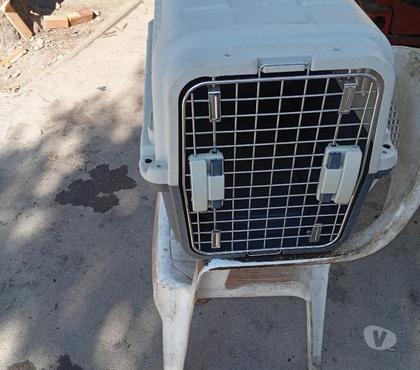 Accesorios para Mascotas La Pintana Santiago - Fotos de Caja transportadora de mascotas