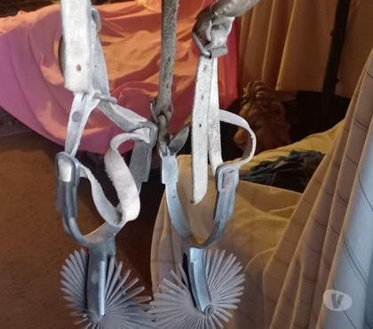 Ropa - Articulos Deportivos Santiago Santiago - Fotos de Par de Espuelas de plata Huaso Corralera Lisa Riel + Taloner