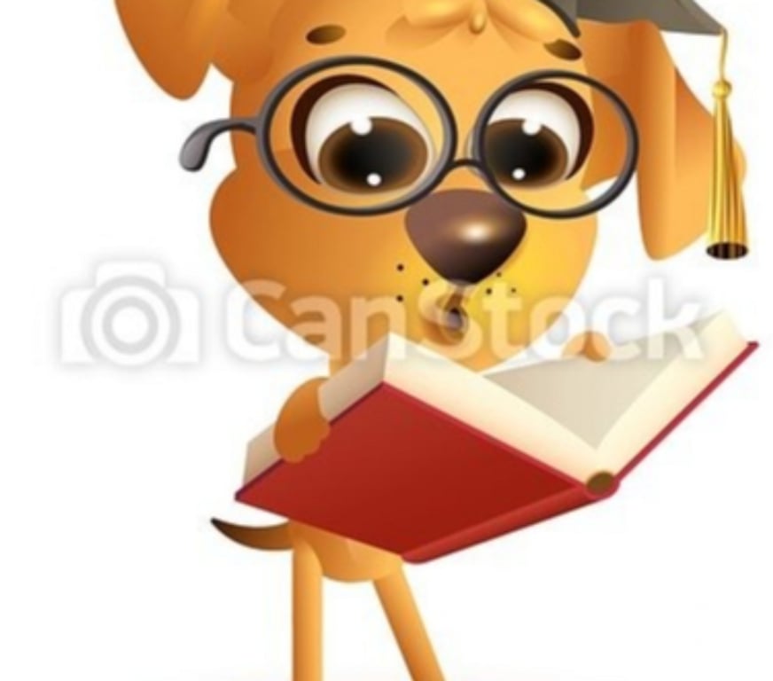 Clases Particulares de Apoyo Valparaíso Viña del Mar - Fotos de CLASES DE VERANO ONLINE MATEMATICAS QUIMICA Y FISICA