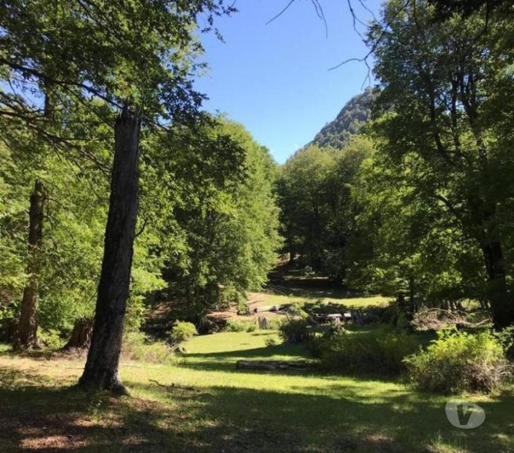 Parcelas en Venta Cautín Curarrehue - Fotos de Curarrehue 1,90 hectáreas derecho a acceso a rio.