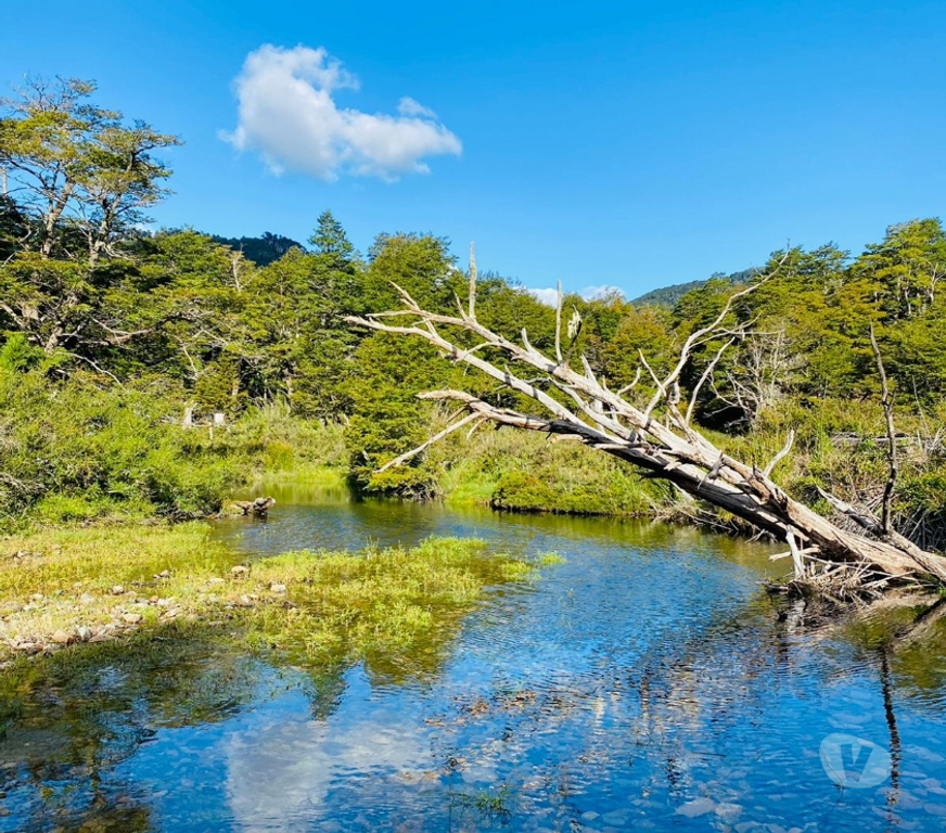 Parcelas en Venta Cautín Curarrehue - Fotos de Curarrehue 1,90 hectáreas derecho a acceso a rio.