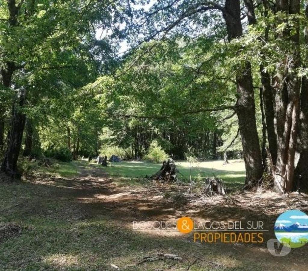 Parcelas en Venta Cautín Curarrehue - Fotos de Curarrehue 1,90 hectáreas derecho a acceso a rio.