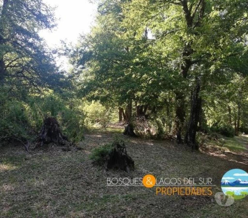 Parcelas en Venta Cautín Curarrehue - Fotos de Curarrehue 1,90 hectáreas derecho a acceso a rio.