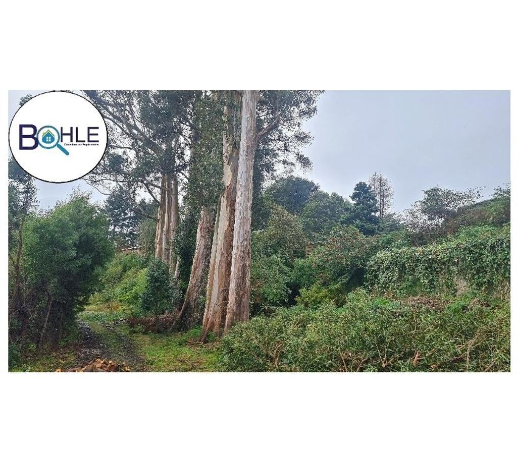 Parcelas en Venta Llanquihue Puerto Varas - Fotos de ARRIENDO - ESPACIO COMERCIAL EN PUERTO VARAS